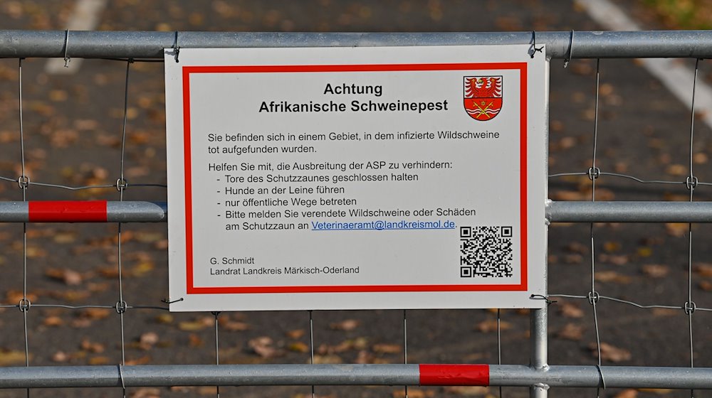 Ein Hinweisschild zur Afrikanischen Schweinepest (ASP) ist an einem Schutztor an der deutsch-polnischen Grenze angebracht. / Foto: Patrick Pleul/dpa-Zentralbild/dpa