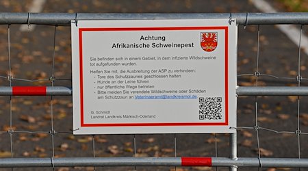 Ein Hinweisschild zur Afrikanischen Schweinepest (ASP) ist an einem Schutztor an der deutsch-polnischen Grenze angebracht. / Foto: Patrick Pleul/dpa-Zentralbild/dpa