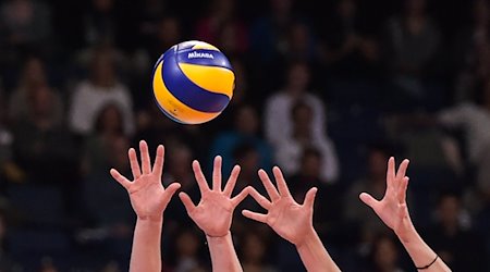 Hände greifen nach einem Volleyball. / Foto: Silas Stein/dpa/Symbolbild