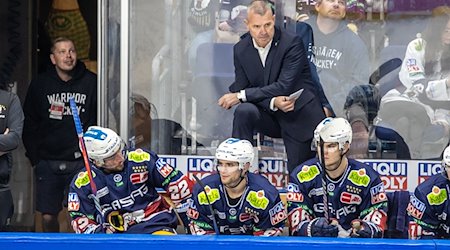 Cheftrainer Serge Aubin von den Eisbären Berlin verfolgt ein Spiel. / Foto: Andreas Gora/dpa