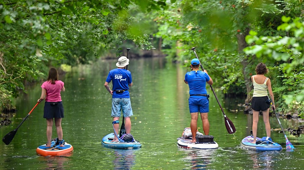 Personen sind auf Stand-up Paddle Boards auf einem Fließ im Spreewald unterwegs. / Foto: Patrick Pleul/dpa