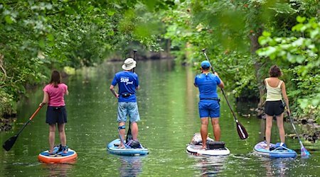 Personen sind auf Stand-up Paddle Boards auf einem Fließ im Spreewald unterwegs. / Foto: Patrick Pleul/dpa