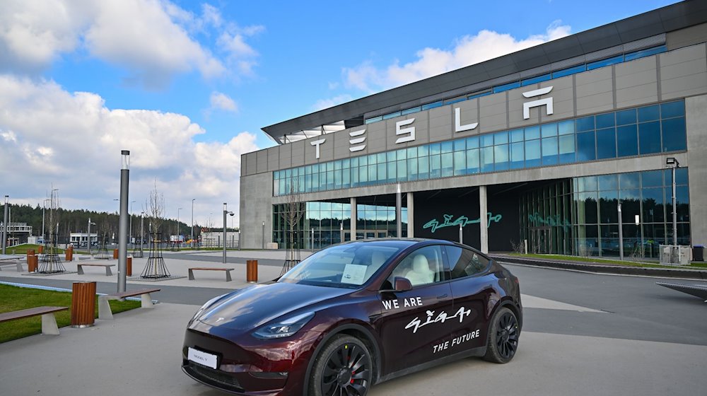 Die Tesla-Gigafactory Berlin-Brandenburg. / Foto: Patrick Pleul/dpa