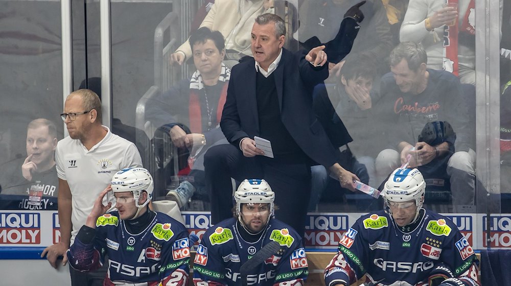 Cheftrainer Serge Aubin (M) von den Eisbären Berlin verfolgt das Spiel. / Foto: Andreas Gora/dpa/Archivbild