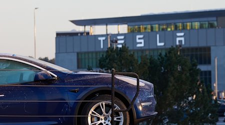 Ein Tesla-PKW steht am frühen Morgen vor der Tesla-Autofabrik auf einem Transporter. / Foto: Joerg Carstensen/dpa