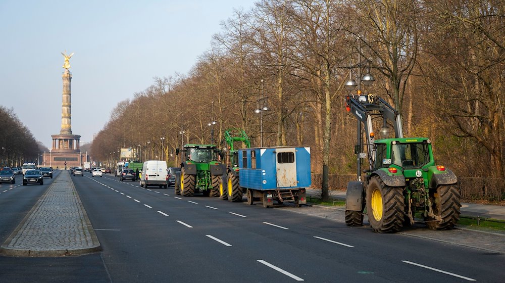 Traktoren stehen auf der Straße des 17. Juni. Wegen neuerlicher Proteste von Landwirten und Spediteuren kommt es an diesem Freitag zu Sperrungen und Umleitungen in Berlin. / Foto: Christophe Gateau/dpa