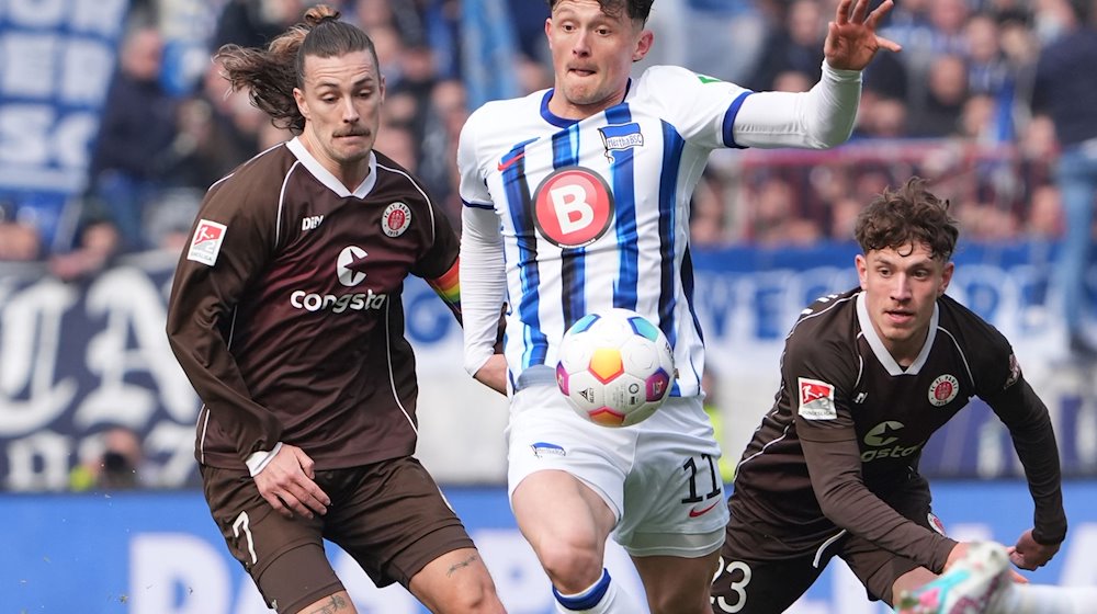 Herthas Fabian Reese (M) und St. Paulis Jackson Irvine (l) und St. Paulis Philipp Treu kämpfen um den Ball. / Foto: Marcus Brandt/dpa