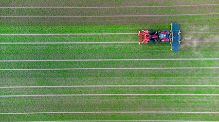 Ein Landwirt fährt mit seinem Trecker über ein Feld. / Foto: Philipp Schulze/dpa/Symbolbild