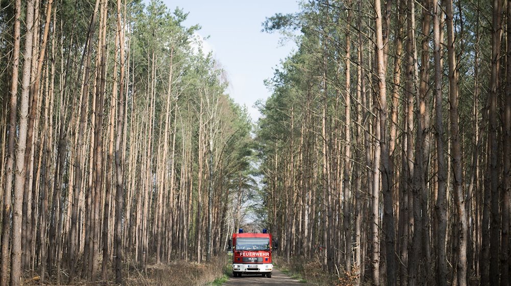 Ein Fahrzeug der Feuerwehr steht auf einem Waldweg in der Nähe eines verbrannten Strommasten. / Foto: Sebastian Gollnow/dpa