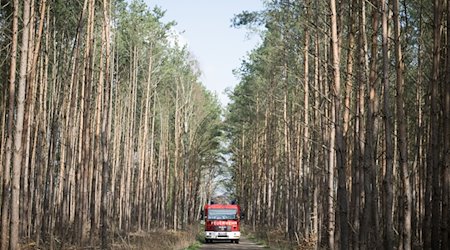 Ein Fahrzeug der Feuerwehr steht auf einem Waldweg in der Nähe eines verbrannten Strommasten. / Foto: Sebastian Gollnow/dpa