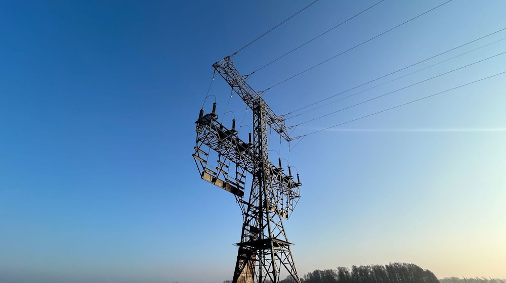 Ein Strommast steht mit Brandspuren auf einem Feld nahe der Tesla-Autofabrik. / Foto: Sven Kaeuler/tnn/dpa