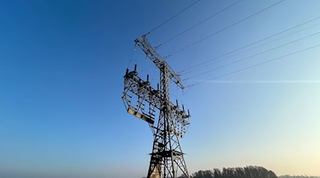 Ein Strommast steht mit Brandspuren auf einem Feld nahe der Tesla-Autofabrik. / Foto: Sven Kaeuler/tnn/dpa