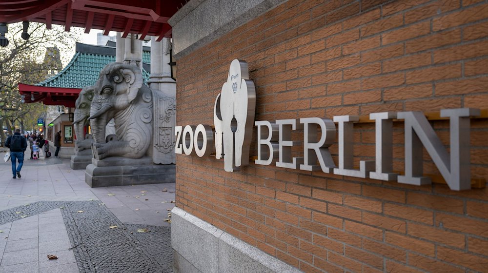 «Zoo Berlin» steht an einer Fassade am Eingang zum Berliner Zoo. / Foto: Monika Skolimowska/dpa