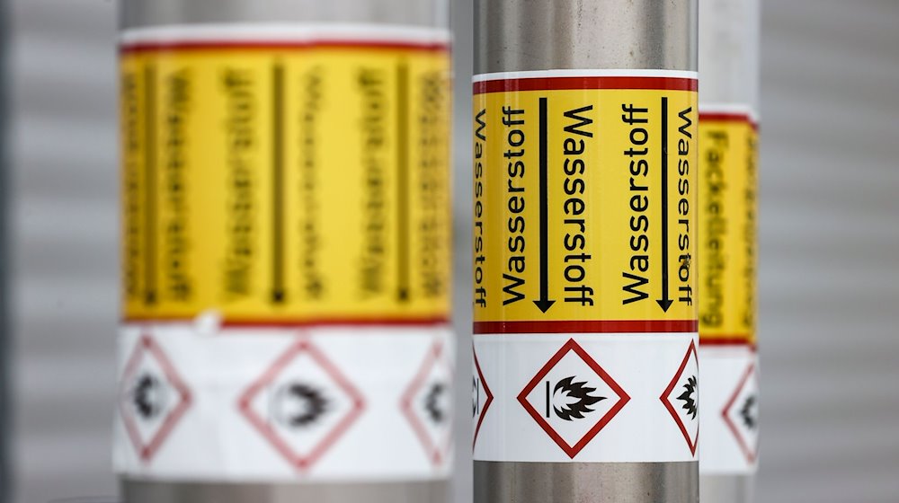 Leitungen für flüssigen Wasserstoff sind bei der Linde AG im Chemiepark Leuna extra gekennzeichnet. / Foto: Jan Woitas/dpa/Archivbild