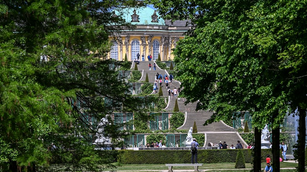 Zahlreiche Menschen sind bei Sonnenschein im Park Sanssouci auf den Weinbergterrassen unterwegs. / Foto: Jens Kalaene/dpa