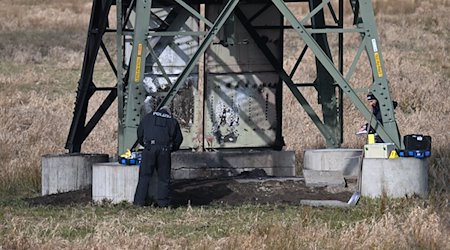 Polizei ermittelt an einem beschädigten Strommasten auf einem Feld. / Foto: Sebastian Gollnow/dpa