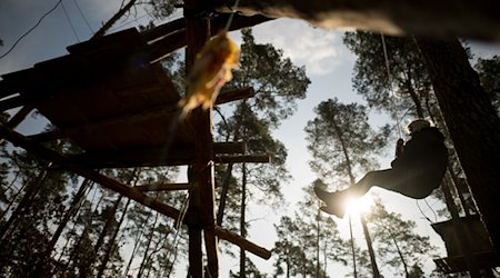 Eine Aktivistin seilt sich in einem Camp der Initiative «Tesla stoppen» in einem Kiefernwald ab. / Foto: Sebastian Christoph Gollnow/dpa