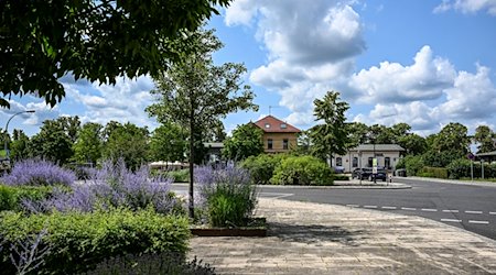 Begrünt, bepflanzt und mit Bänken und Papierkörben ist der Bahnhofsvorplatz am Bahnhof. / Foto: Jens Kalaene/dpa