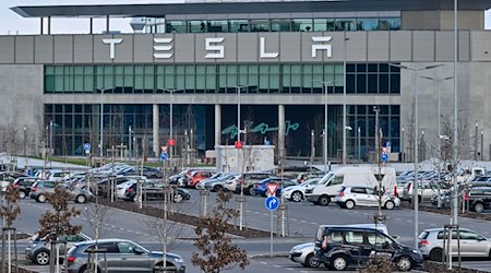 Autos von Mitarbeitern der Tesla-Fabrik stehen vor dem Werk. / Foto: Patrick Pleul/dpa