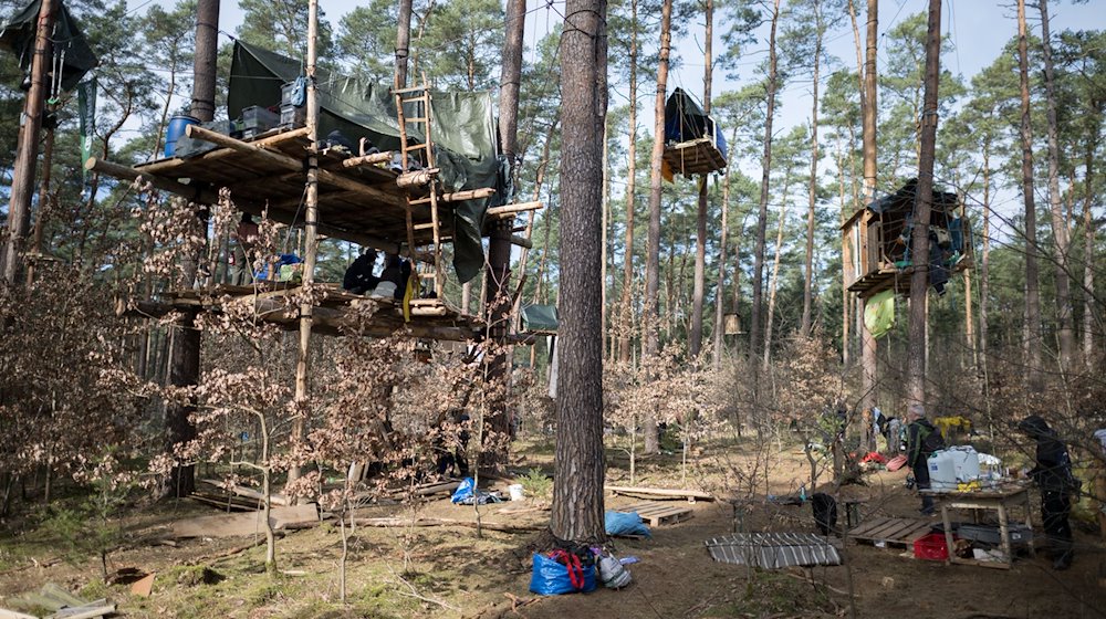 Baumhäuser hängen in einem Camp der Initiative «Tesla stoppen» in einem Kiefernwald. / Foto: Sebastian Christoph Gollnow/dpa