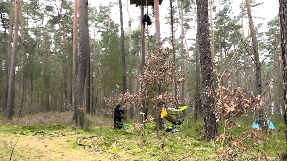 Tesla-Protest der Waldbesetzer in Grünheide bekommt Zuspruch