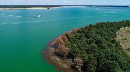 Der Sedlitzer Sees im Lausitzer Seenland. / Foto: Patrick Pleul/dpa-Zentralbild/dpa/Archivbild