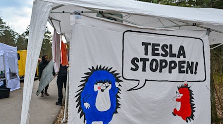 Ein Transparent mit der Aufschrift «Tesla stoppen» hängt im Camp von Aktivisten der Initiative «Tesla stoppen» nahe der Tesla-Gigafactory Berlin-Brandenburg. / Foto: Patrick Pleul/dpa