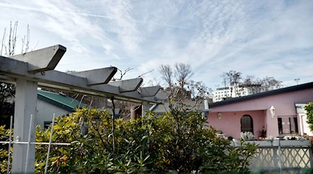 Blick über Schrebergärten in einer Kleingartenanlage nahe der Bornholmer Brücke. / Foto: Carsten Koall/dpa/Symbolbild