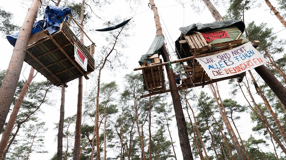 Zwei Baumhäuser mit der Aufschrift «Wir sind nicht alle es fehlen die Behinderten» hängen in einem Camp der Initiative «Tesla stoppen». / Foto: Carsten Koall/dpa