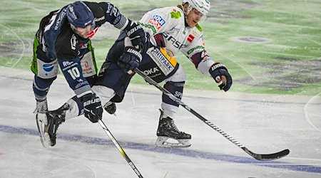 Michael Clarke von den Straubing Tigers (l) und Frederik Tiffels von den Eisbären Berlin kämpfen um den Puck. / Foto: Armin Weigel/dpa