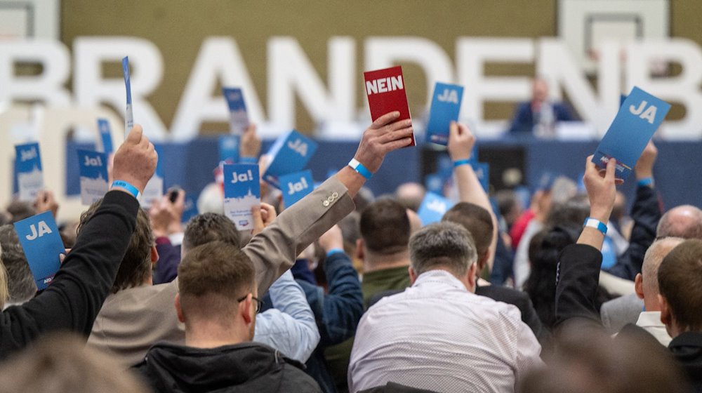 AfD bereitet sich auf Landtagswahl in Brandenburg vor
