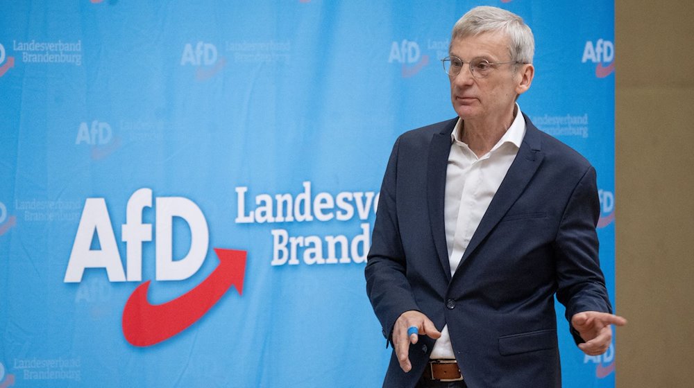 Hans-Christoph Berndt, Kandidat für den Spitzenplatz der AfD Brandenburg für die Landtagswahl. / Foto: Monika Skolimowska/dpa