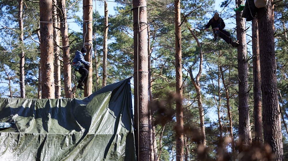 Hoch in den Bäumen hängen zwei Aktivisten im Protestcamp gegen Tesla. / Foto: Jörg Carstensen/dpa