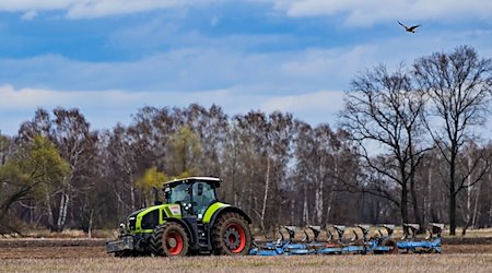 Ein Landwirt pflügt ein Feld. Damit wird der Ackerboden für die Aussaat der Sommerkultur vorbereitet. / Foto: Patrick Pleul/dpa