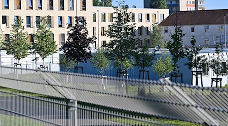 Das Gelände der Erstaufnahme-Einrichtungen des Landes Brandenburg in Eisenhüttenstadt. / Foto: Patrick Pleul/dpa/Archivbild