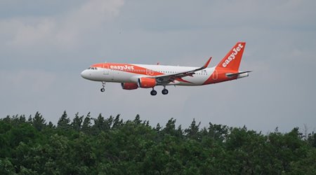 Ein Airbus A 320-214 landet hinter Bäumen auf dem BER-Flughafen. / Foto: Soeren Stache/dpa