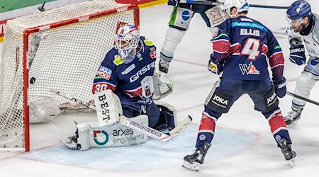 Tyler Sheehy von Straubing Tigers (nicht im Bild) schießt das 1:3. / Foto: Andreas Gora/dpa