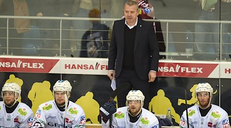 Berlins Trainer Serge Rubin steht während des Spiels auf der Bank. / Foto: Carmen Jaspersen/dpa