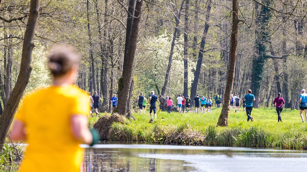 Teilnehmer des Halbmarathons beim Spreewald-Marathon 2022 passieren die Buschmühle im Spreewald. / Foto: Frank Hammerschmidt/dpa/Archivbild