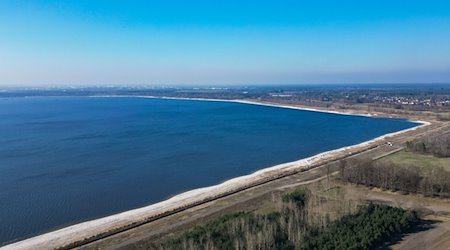 Blick über den neu entstehenden Cottbuser Ostsee (Luftaufnahme mit einer Drohne). / Foto: Patrick Pleul/dpa