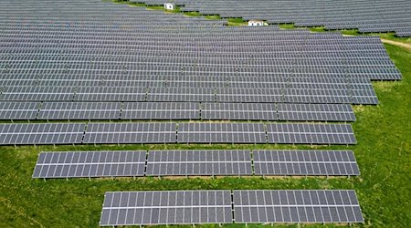 Ein Solarpark steht auf einem Feld. / Foto: Jan Woitas/dpa