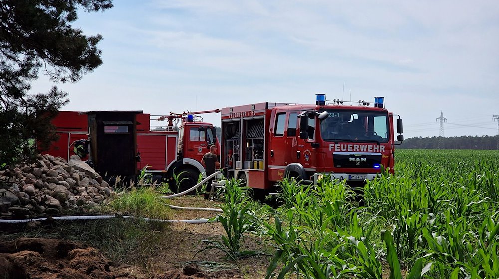 Feuerwehrfahrzeuge stehen am Waldrand. / Foto: Cevin Dettlaff/dpa-Zentralbild/dpa/Archivbild