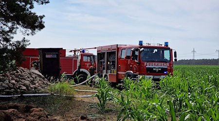 Feuerwehrfahrzeuge stehen am Waldrand. / Foto: Cevin Dettlaff/dpa-Zentralbild/dpa/Archivbild