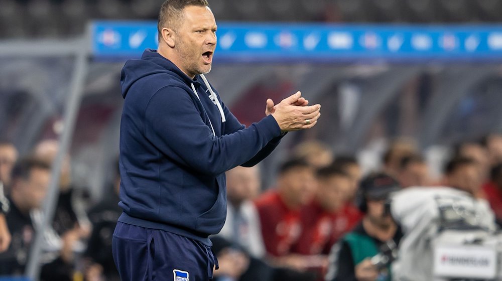 Trainer Pal Dardai von Hertha BSC ruft seinem Team klatschend etwas zu. / Foto: Andreas Gora/dpa