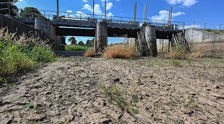 Ausgetrocknet ist ein Teilabschnitt des Flusses Schwarze Elster in Südbrandenburg. / Foto: Patrick Pleul/dpa