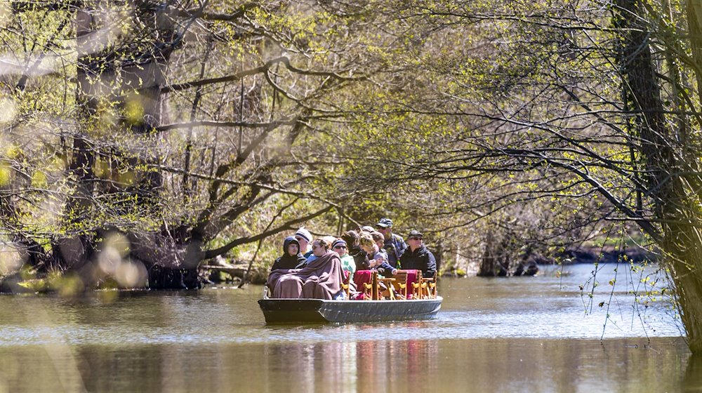 Auf der Spree in Lübben fährt ein Kahn. Traditionell am Osterwochenende wird in Lübben der «Start in den Frühling» gefeiert. / Foto: Frank Hammerschmidt/dpa