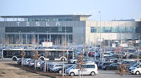 Die Morgensonne scheint auf den Eingang zum Tesla-Werk. / Foto: Sebastian Gollnow/dpa