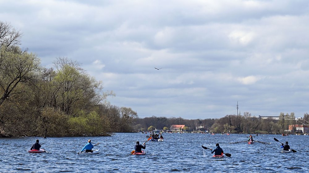 Paddler und Ruderer in der Neustädter Havelbucht in Potsdam. / Foto: Michael Bahlo/dpa/Symbolbild