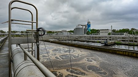 Ein Filterbecken der Biologischen Reinigung vom Klärwerk Münchehofe der Berliner Wasserbetriebe. / Foto: Patrick Pleul/dpa