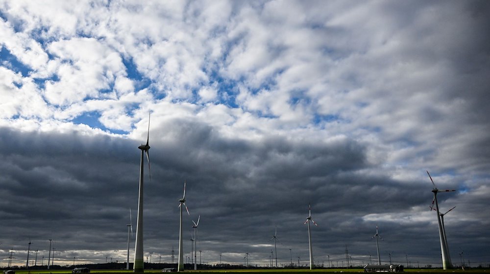 Windräder unter bewölktem Himmel. / Foto: Jens Kalaene/dpa/Archivbild